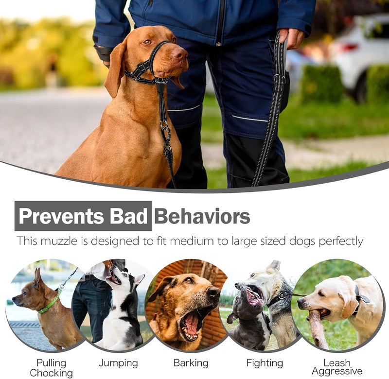 Weesiber No-Pull Dog Head Halter - Adjustable Dog Muzzle Leash, Padded Head Collar for Dogs to Prevent Heavy Pulling On The Leash(Black,L) - Image 5